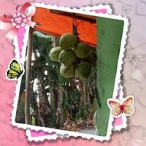 Yanti Ajjeh profile icon