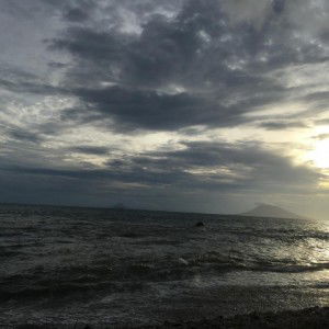 sonia sonny profile icon