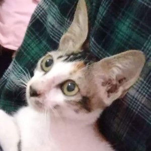 Fitri Fajariah profile icon