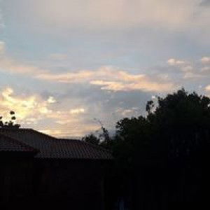 Wastiani profile icon