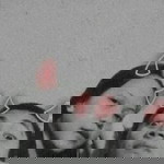 Keiara Ivy Mariz D. Nocus profile icon