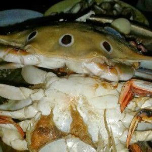 Plaifan Grearam profile icon