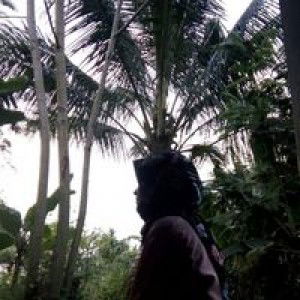 Mega Lestari profile icon