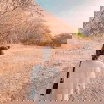 Nunna Yoongi profile icon