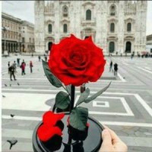 Annisatul Hanifah profile icon