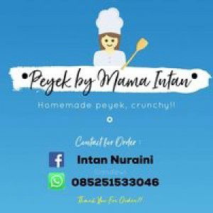 Intan Nuraini profile icon