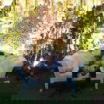 Ari Wibowo profile icon