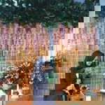 Siti Komariah profile icon