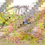 Nuttita Watsosa profile icon