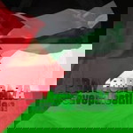 Chinta Ku Aila profile icon