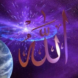 Wita Widiyawati profile icon