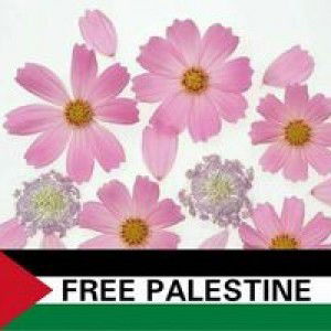 Suke Emie profile icon