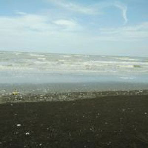 Ria Riatun profile icon