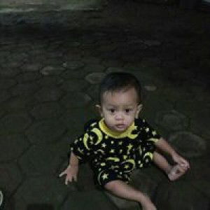 Ika Fauzi profile icon