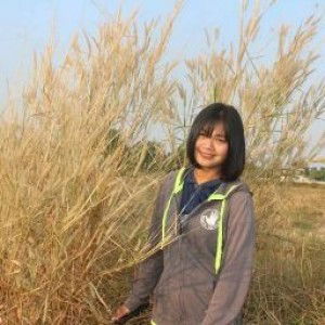 Panida maya profile icon