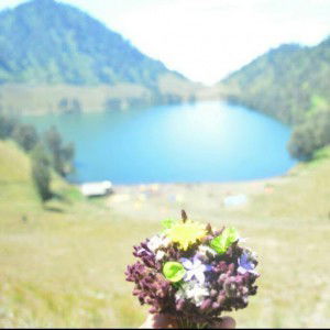 adinda fanina profile icon