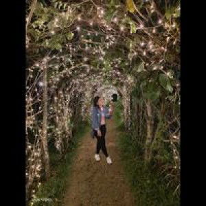 Sañosa Panday Brenz profile icon