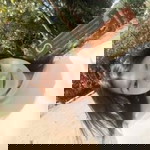 Warattaya Muangnakin profile icon