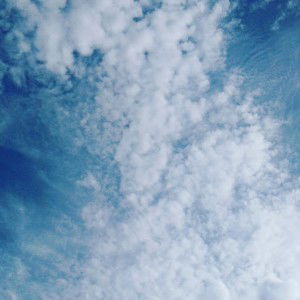 Risamus profile icon