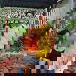 Vivialyn Saad Salvoro profile icon