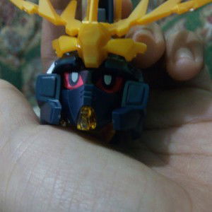 Inunk ajaa profile icon