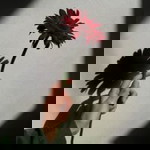 Resi Juliana profile icon