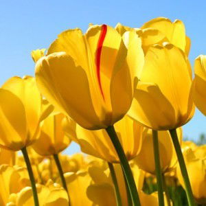 Yestini E Garcia profile icon