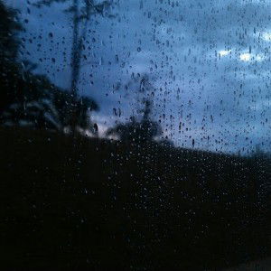 the maknae profile icon