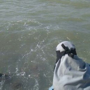 Wita Nur Asy-syifa profile icon