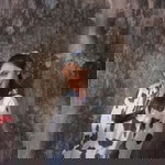 สุนิสา โคสีงาม profile icon