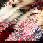 Eyna Fuad01 profile icon