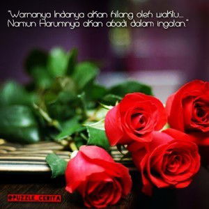 Siti Mardiana profile icon