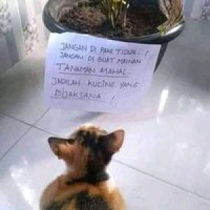 Kartika Puji Lestari profile icon