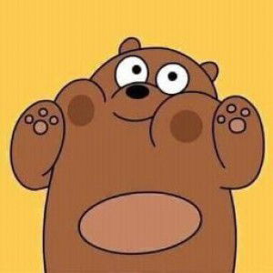 Wulandari Sari profile icon