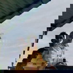 Tya Gingsul profile icon