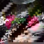 Rowena Acala Malate profile icon