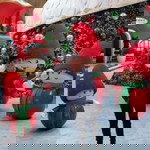 Rein Alvarez profile icon