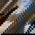 พิมดารา ทองเหวียง profile icon