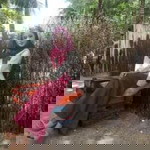 น้องหย๊ะ สุกัลญา profile icon