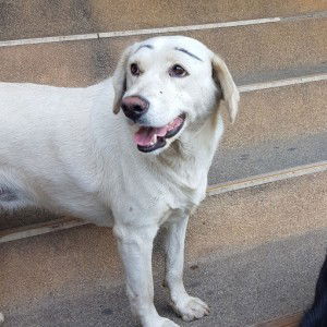 ปัทมา profile icon