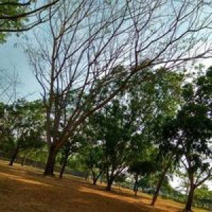 Fanisa Lisnawati profile icon