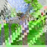 Suchada Phithanwannakul profile icon