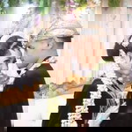 Afnie Wilda profile icon