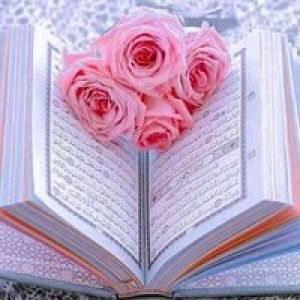 Rahmi Amelia profile icon