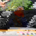 Zuraida Eyydaa profile icon