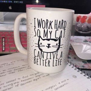 dinan hadaina profile icon