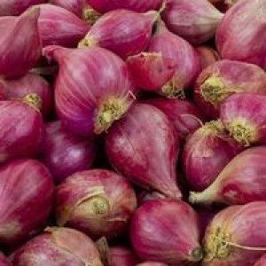 Adri Fadhlan profile icon