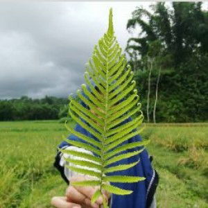 Etha etha profile icon