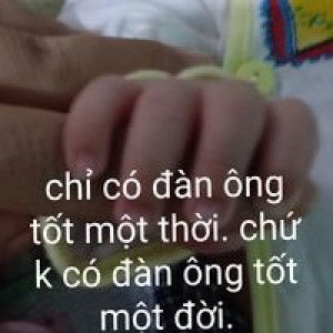 Hoa Bồ Công Anh profile icon