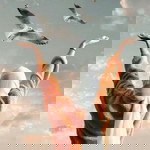 Nadhrah Jamil profile icon